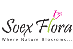 Soex Flora